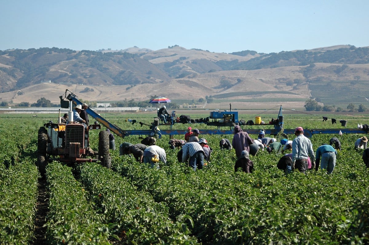 Welding Together a Better Future: A National Farmworker Jobs Program Success Story